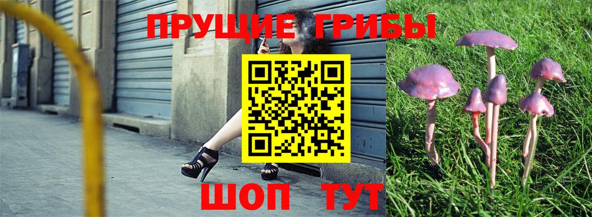Псилоцибиновые грибы Psilocybine cubensis  Вход с VPN  Галлюциногенные грибы прущие грибы  Якутск 