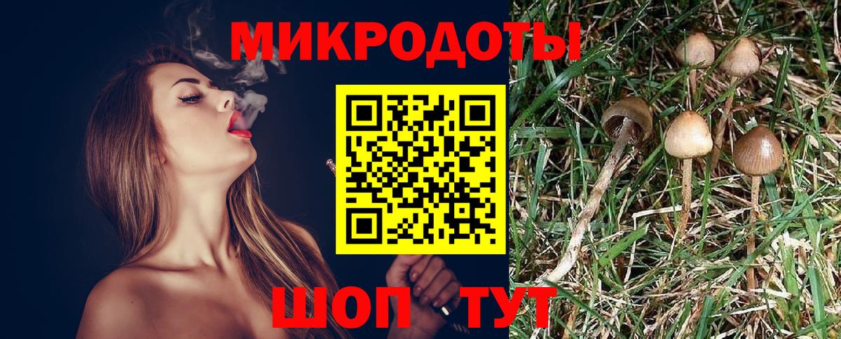 Галлюциногенные грибы GOLDEN TEACHER Якутск